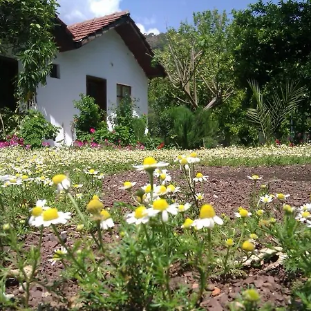 Engin Pension